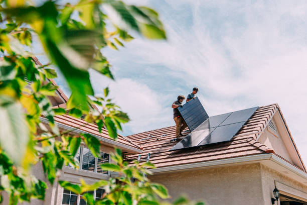 Best Roof Moss and Algae Removal  in Perry, KS