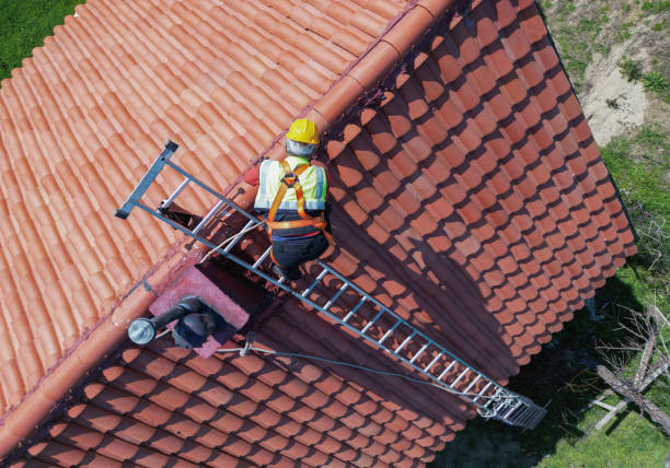 Best Asphalt Shingles Roofing  in Perry, KS